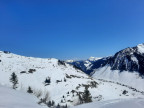 Glatthorn