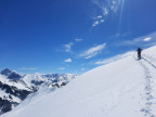 Glatthorn