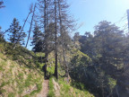 Tegelberg Westgrat