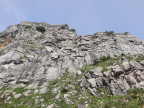 Pfannenhölzer