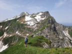 Pfannenhölzer