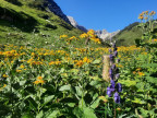 Steinschartenkopf, Bockkarkopf, Hochfrottspitze, Mädelegabel