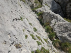 Giglturm