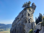 Zahn Überschreitung