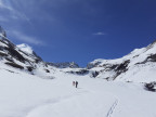 Trittkopf