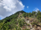 Saldeinerspitze