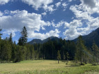 Hirschbühel