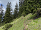 Hirschbühel