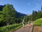 Rossgundkopf, Alpgundkopf, Grießgundkopf, Schartenkopf