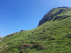 Formaletsch