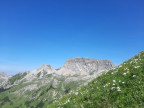 Formaletsch