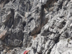 Löffelspitze, Orgelspitze, Braunarlspitze