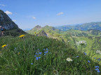 Piramide, Klippern, Gungern, Wannenkopf