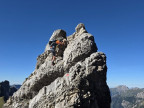 Großer Wilder