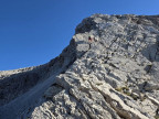 Großer Wilder