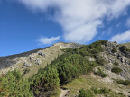Geierköpfe