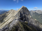 Geierköpfe