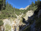 Geierköpfe