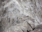 Großer Roßzahn, Augenzahn, Klupperkarkopf, Jochumkopf 45