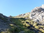 Glabkopf und Gartenspitze