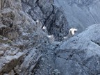 Gramaiser Gratüberschreitung von den Zwickspitzen bis zum Tor