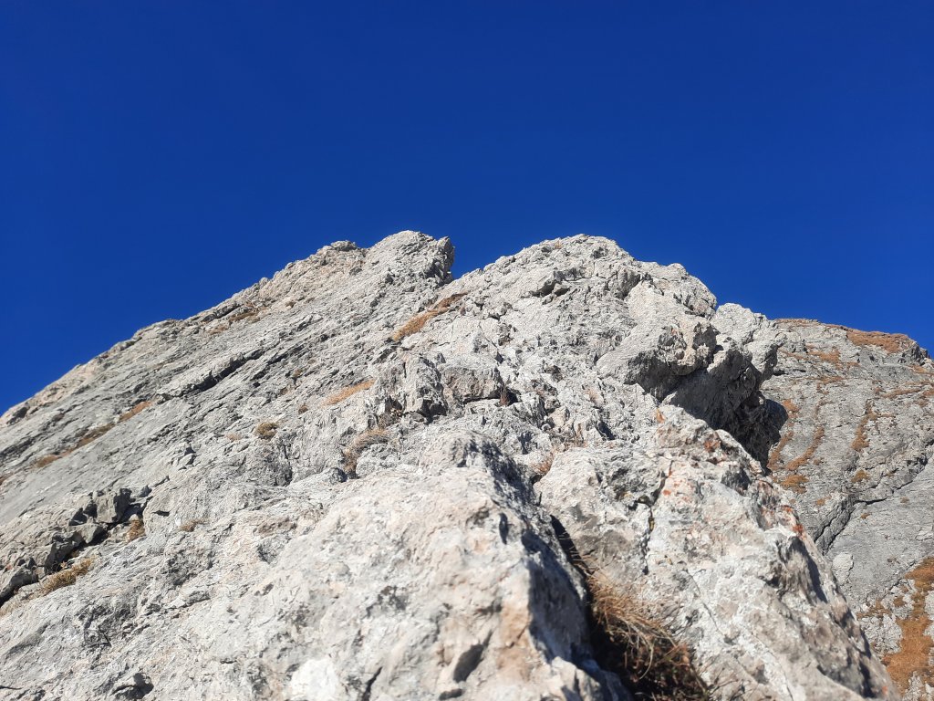 Aggenstein via Hüttengrat