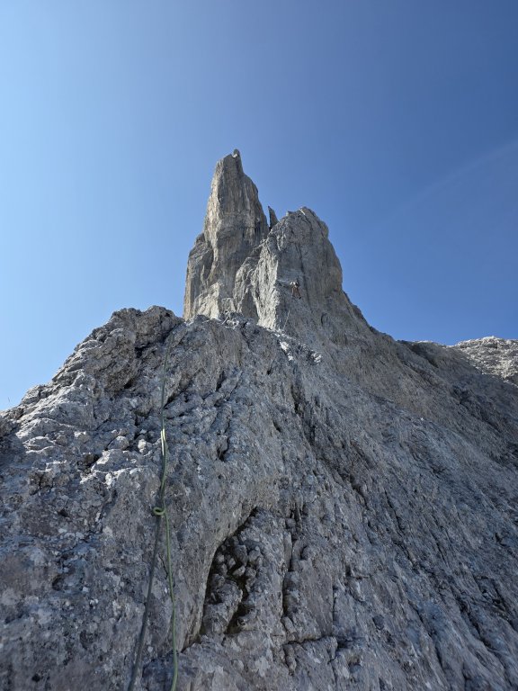 Drüsentürme