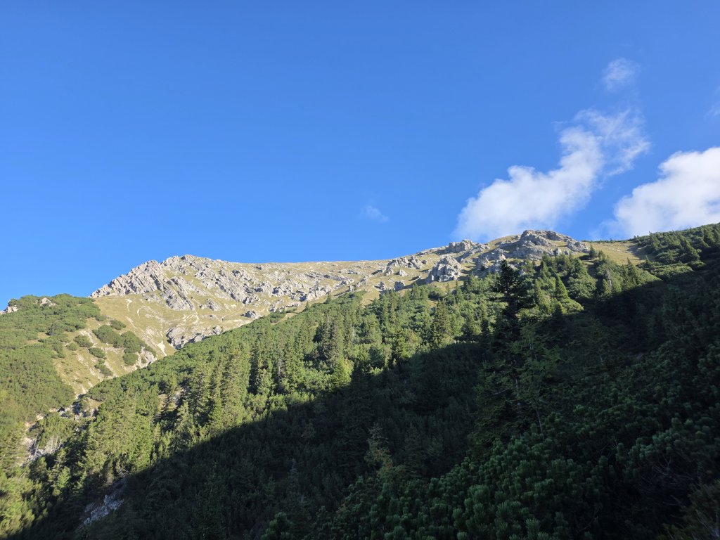 Geierköpfe