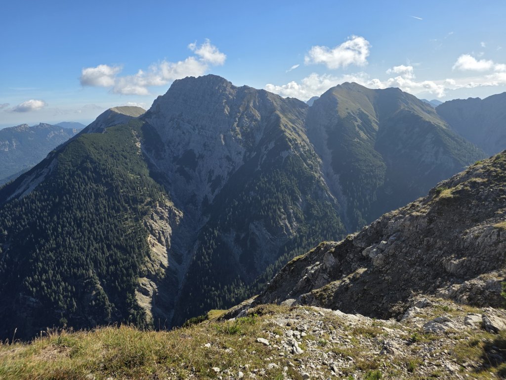 Geierköpfe