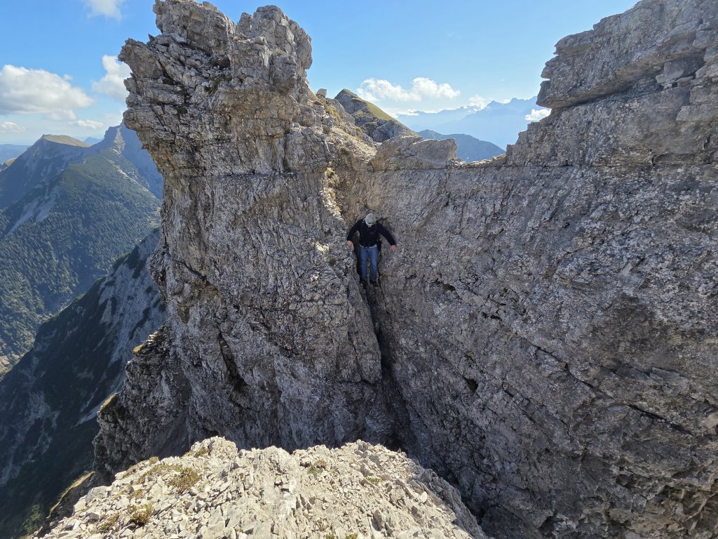 Geierköpfe