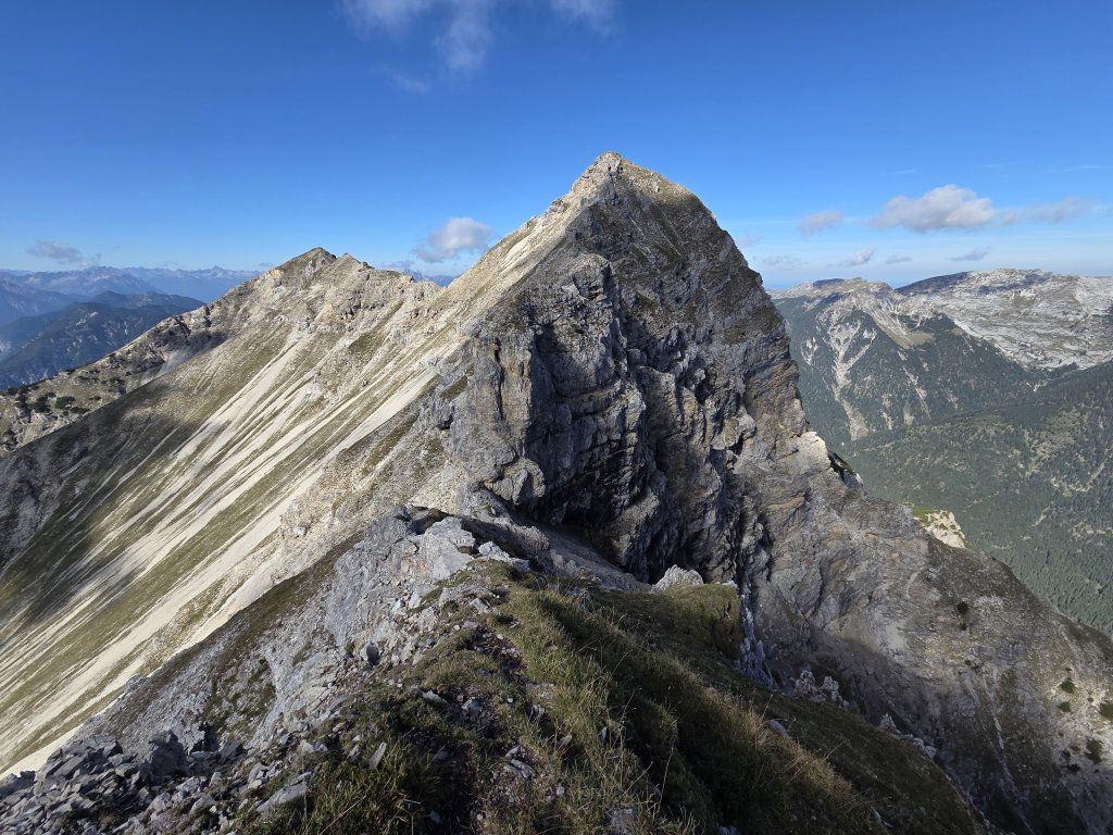 Geierköpfe