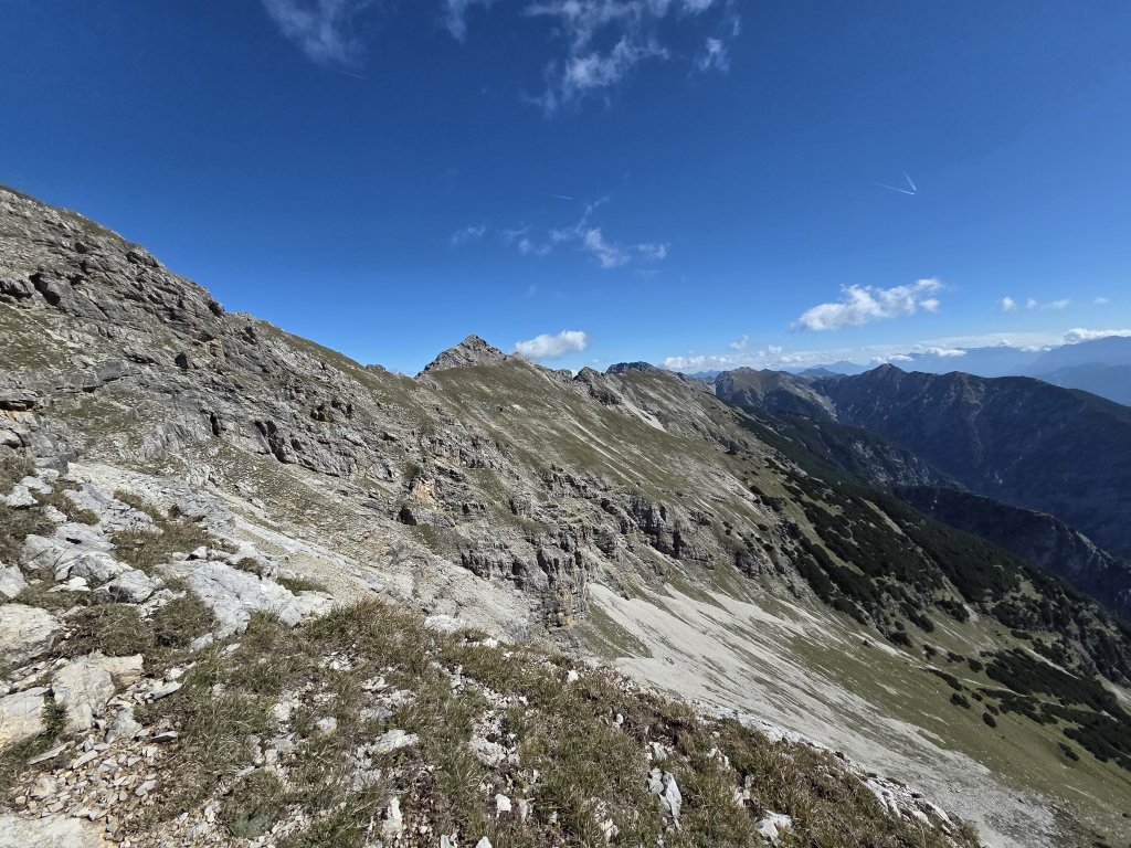 Geierköpfe