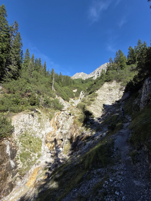 Geierköpfe