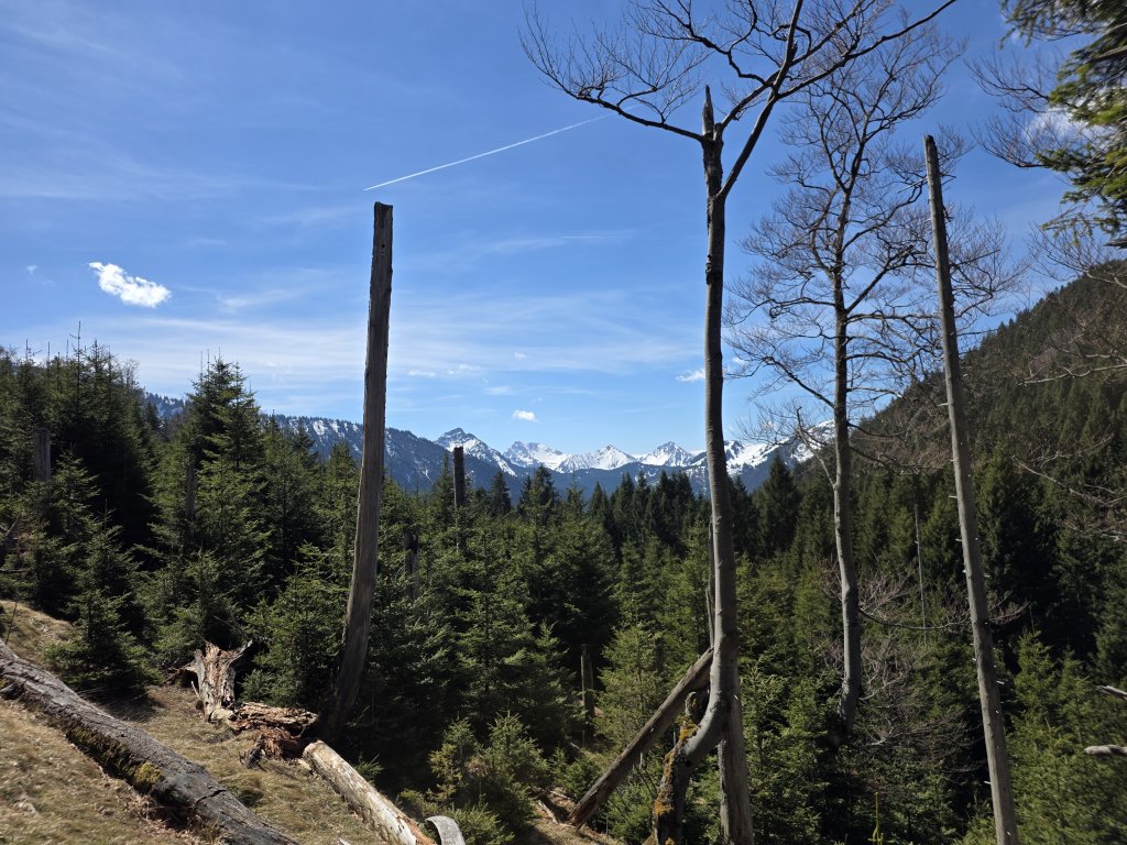 Kienberg, Schnalskopf, Pfrontnerberg