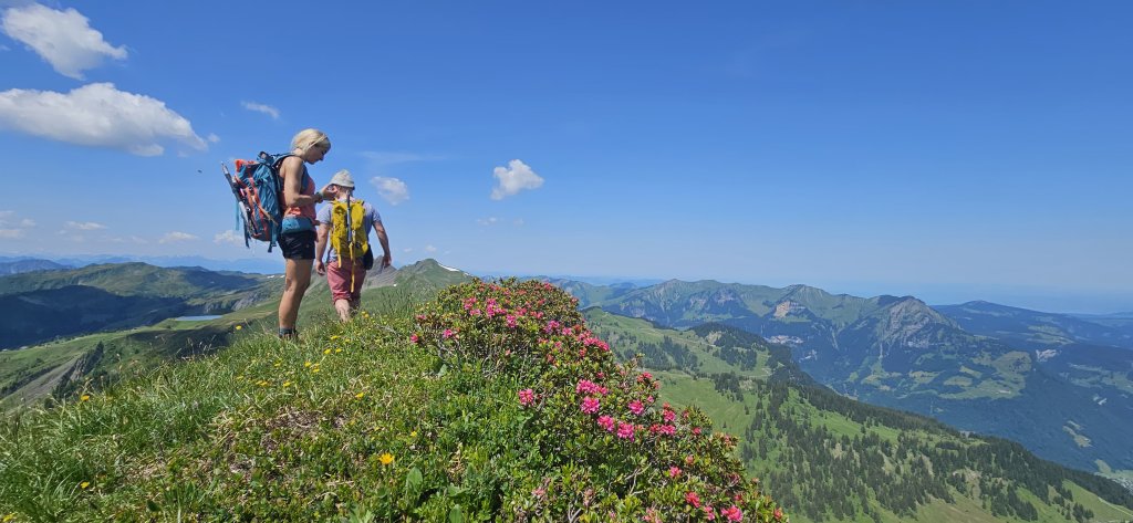 Piramide, Klippern, Gungern, Wannenkopf