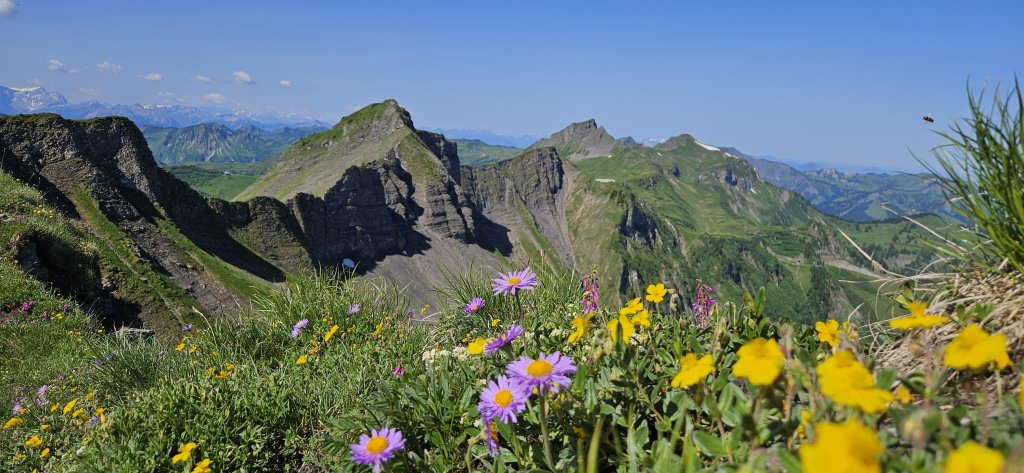 Piramide, Klippern, Gungern, Wannenkopf