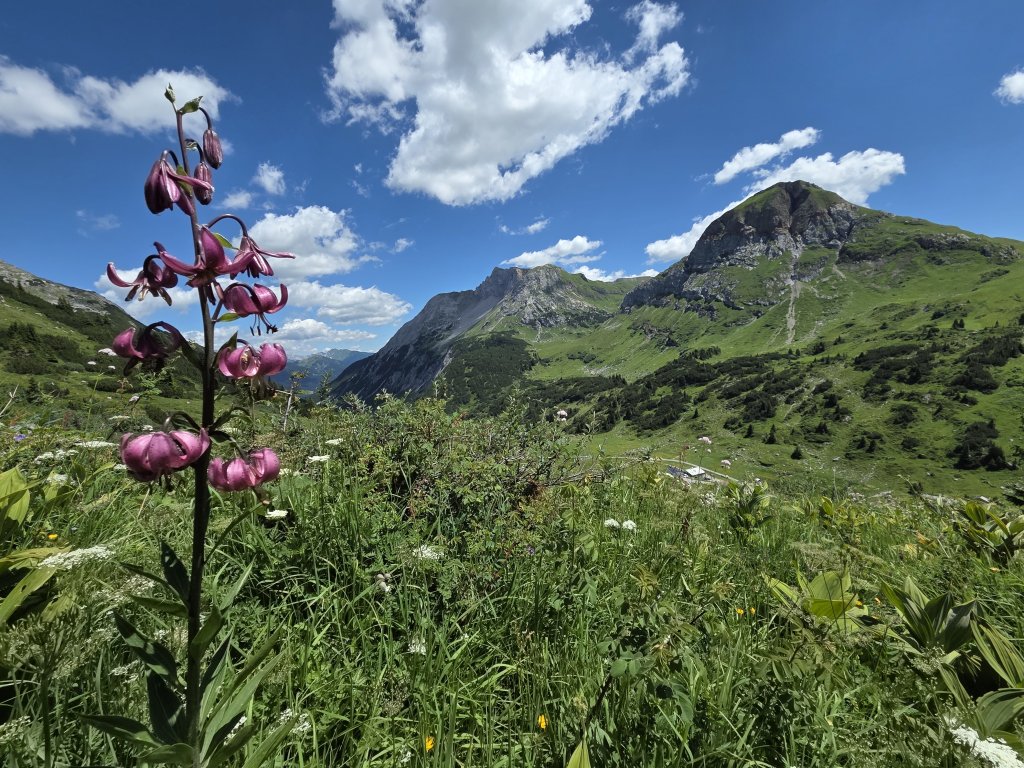 Rote Wand